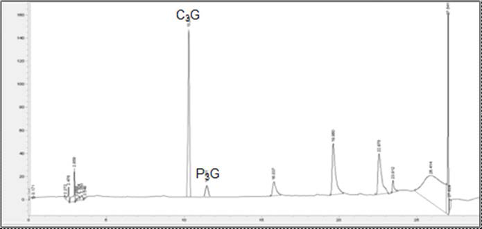 Comparison of anthocyanin contents between Dongan and Tocohongmi.