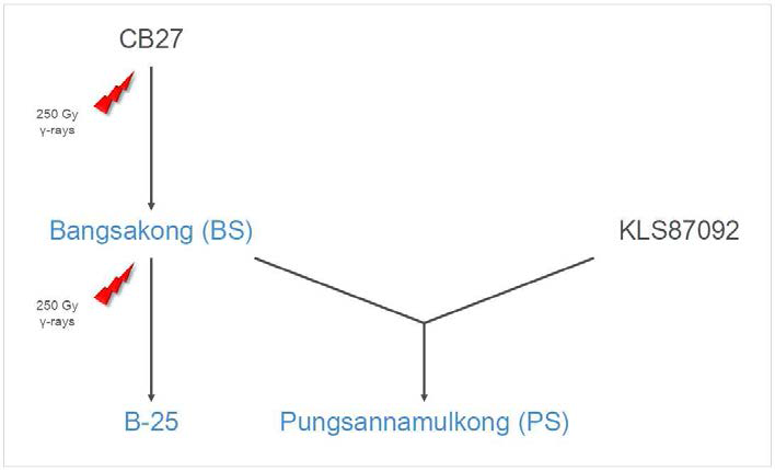 Pedigree of the sequenced soybean samples.