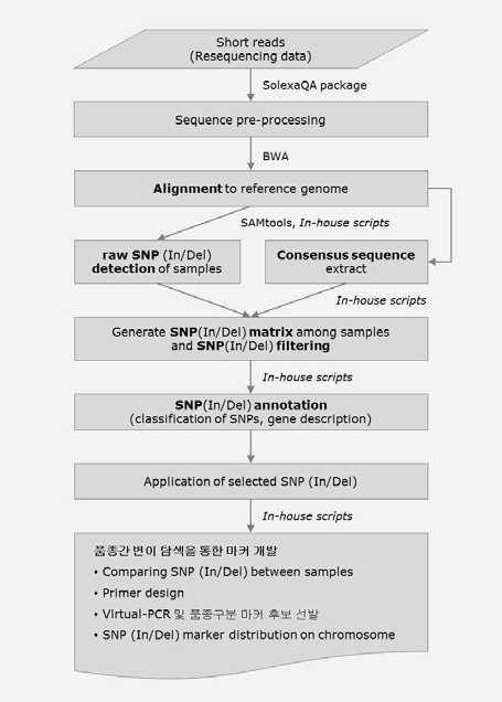 Schematic representation of the soybean resequencing analysis pipeline.