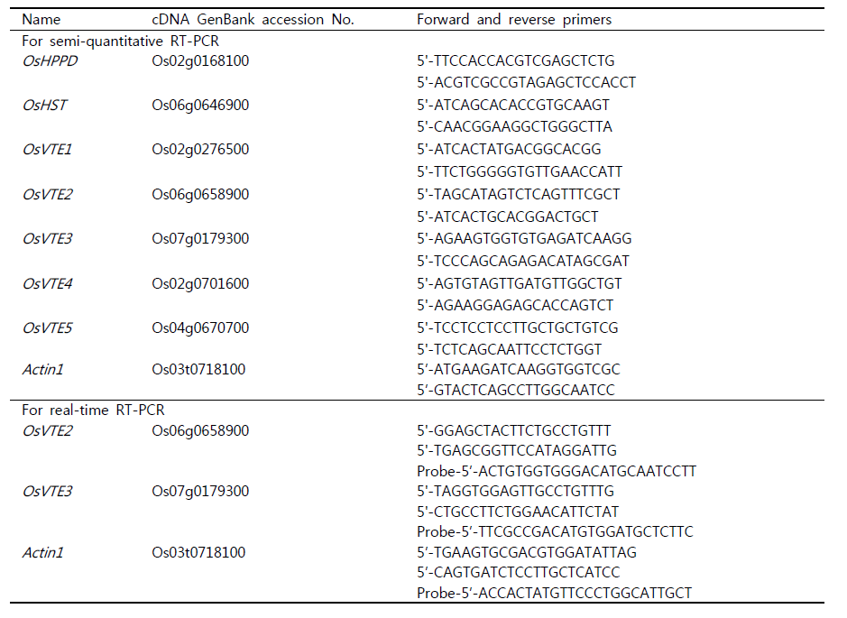 Primer and probe sequences used for semi-quantitative and real-time RT-PCR.