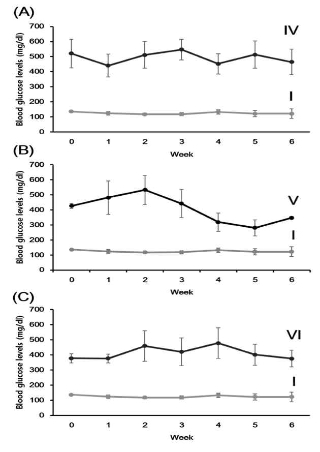 Changes in blood glucose concentration in rats of normal control (group I, gray) and experimental groups (black).