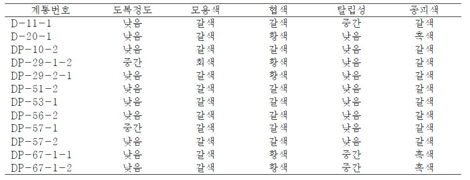 Traits of the selected soybean lines with brown or black seed coat.