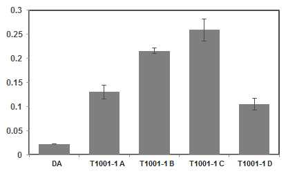 Anthocyanin contents in the T1001-1 mutant seedlings.