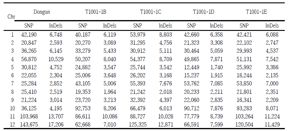 SNP and InDel polymorphism distribution by chromosomes.