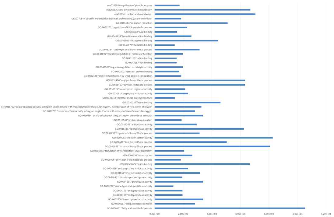 Functional annotation of up-regulated genes.