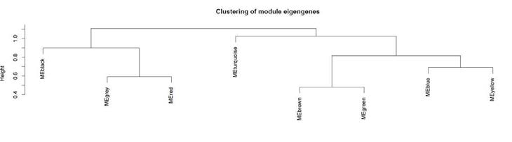 Module identification of differentially expressed genes using Weighted gene co-expression network analysis