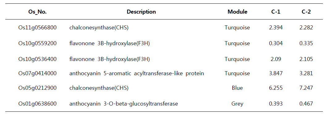 Significantly induced genes related to anthocyanin biosynthesis pathway in T1001-1.