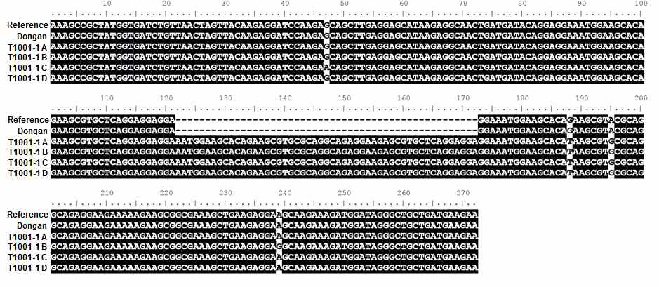 Sequence alignment MYB genes of Dongan and T1001-1 mutants.