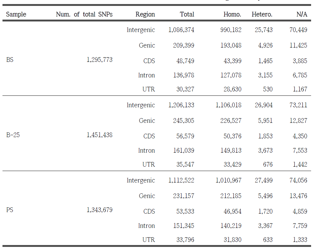 Classification of the detected SNPs based on their genomic position.