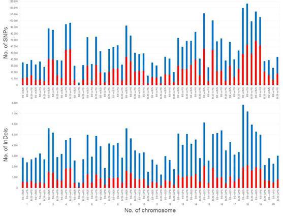 Graphical representation of chromosomal distribution of polymorphism between samples.