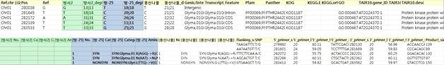 Examples of designed high resolution melting primers for SNP detection.