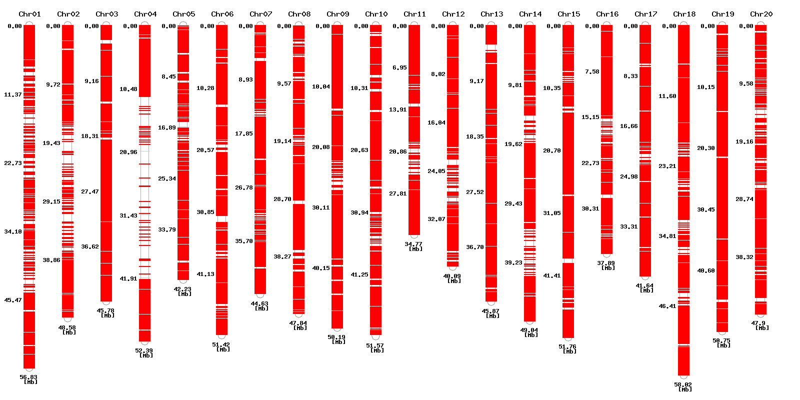 Genomic distribution of SNP designed high resolution melting primers for SNP detection in BS vs B-25