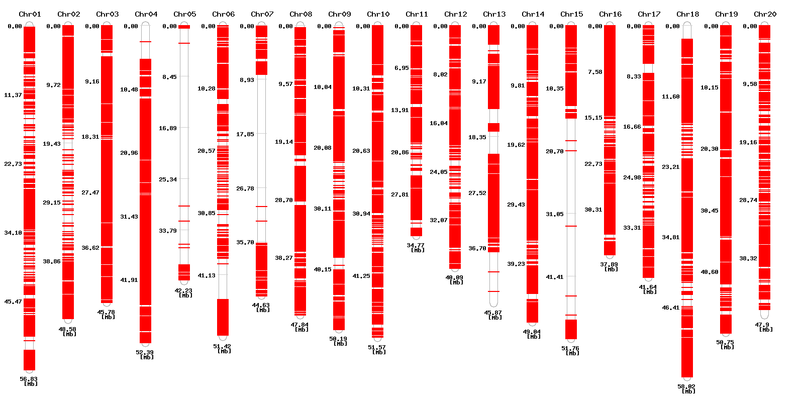 Genomic distribution of SNP designed high resolution melting primers for SNP detection in BS vs PS