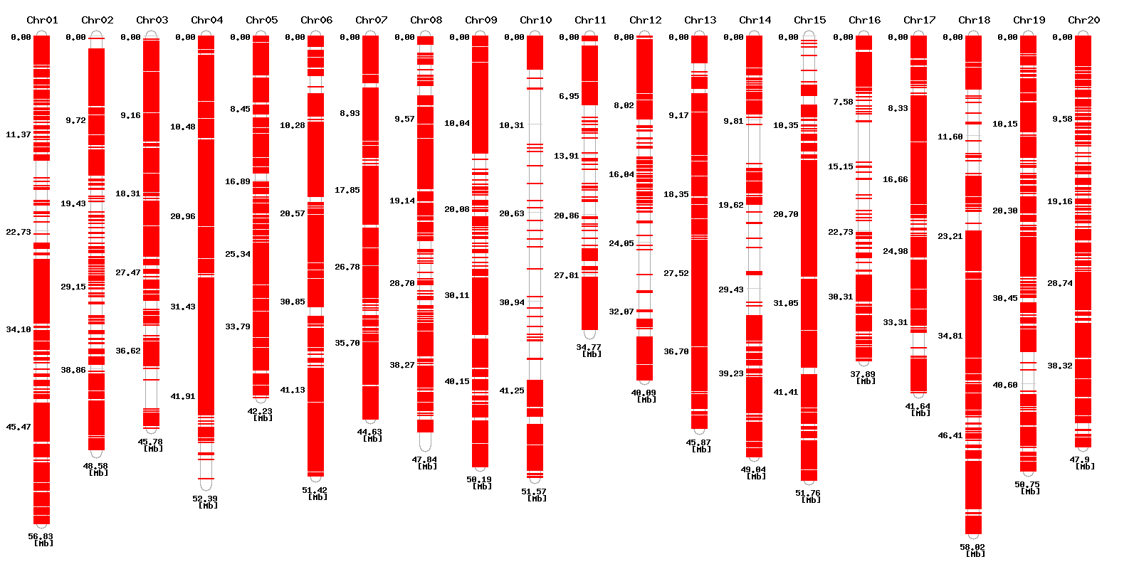 Genomic distribution of SNP designed high resolution melting primers for SNP detection in B-25 vs PS