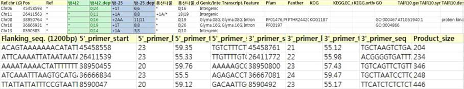 Examples of designed high resolution melting primers for In/Del detection.