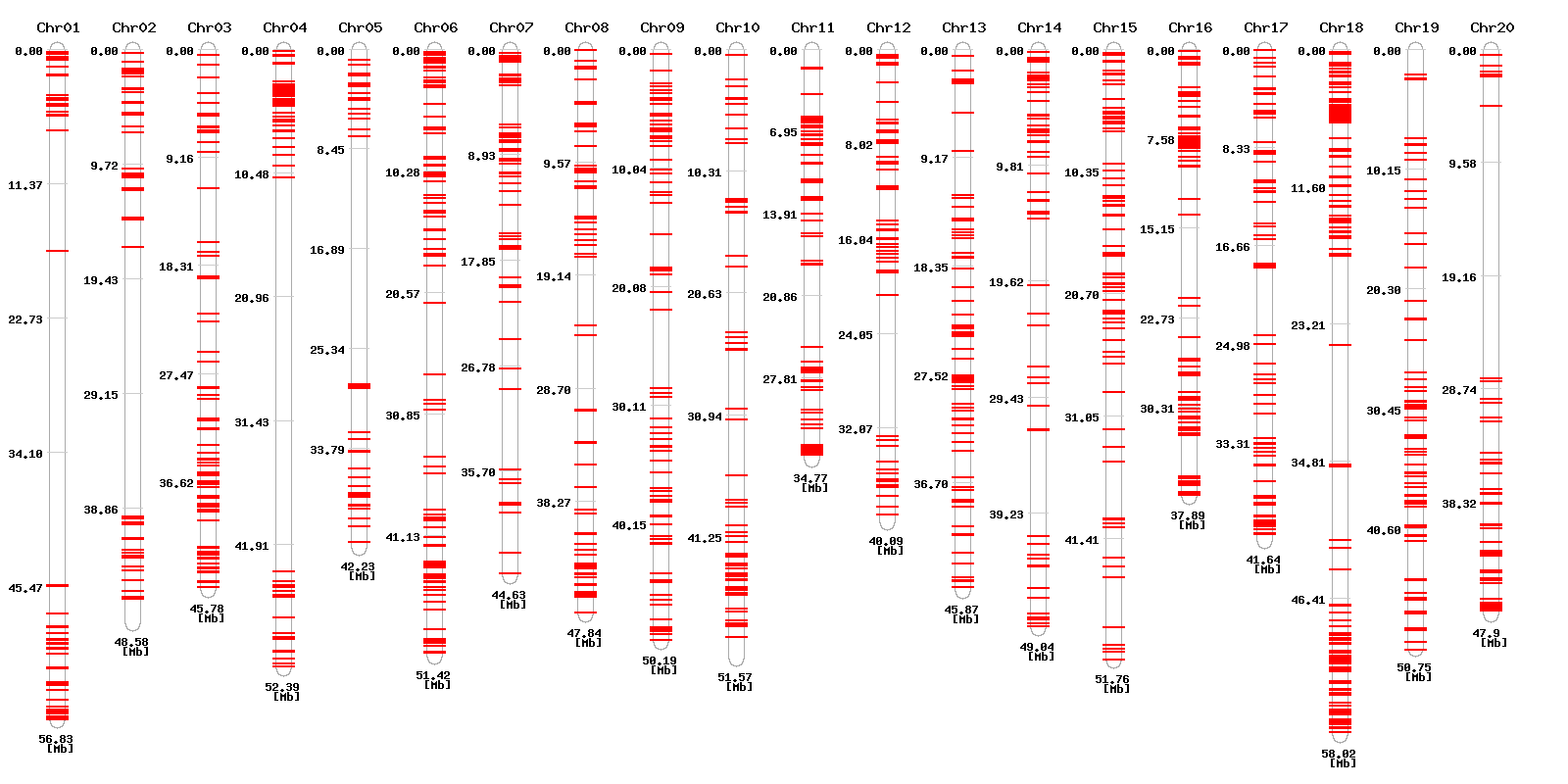 Genomic distribution of In/Del designed high resolution melting primers for SNP detection in BS vs B-25
