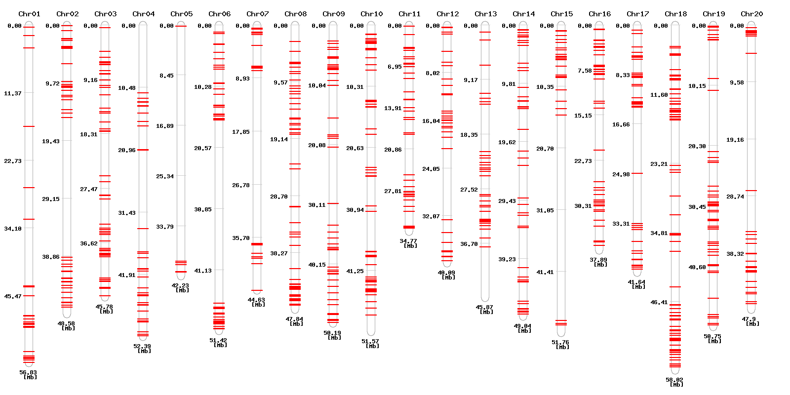 Genomic distribution of In/Del designed high resolution melting primers for SNP detection in BS vs PS