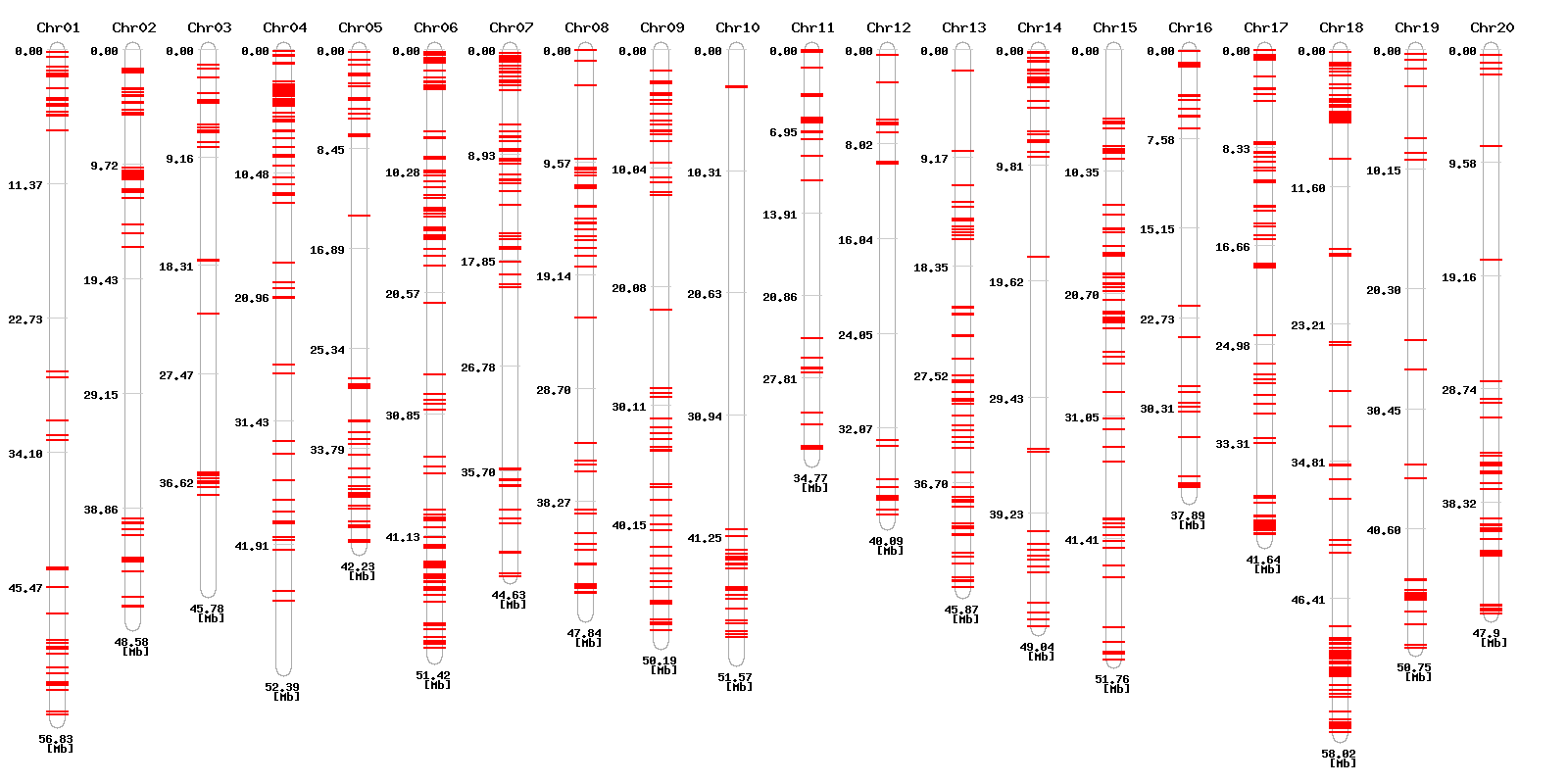 Genomic distribution of In/Del designed high resolution melting primers for SNP detection in B-25 vs PS