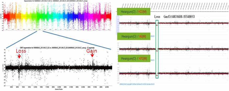 Detection of CNVs in chromosomal plot and common CNV locations among the three different mutant lines.