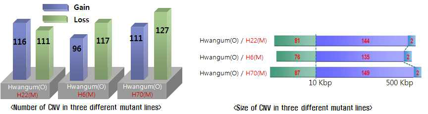 The number and size of CNVs among the three different mutant lines compared with their original cultivars.