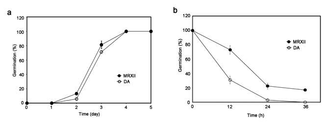 Germination rates of DA and MRXII rice seeds.