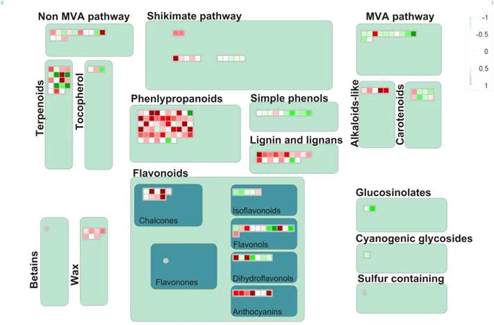 Differential expression of genes related to the secondary metabolism in the MT mutant.