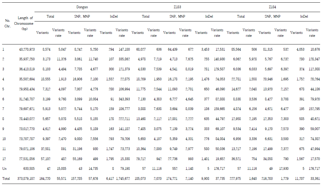 Variation distribution of Dongan, Z183, and Z184 compared to the Nipponbare genome sequence by chromosomes.