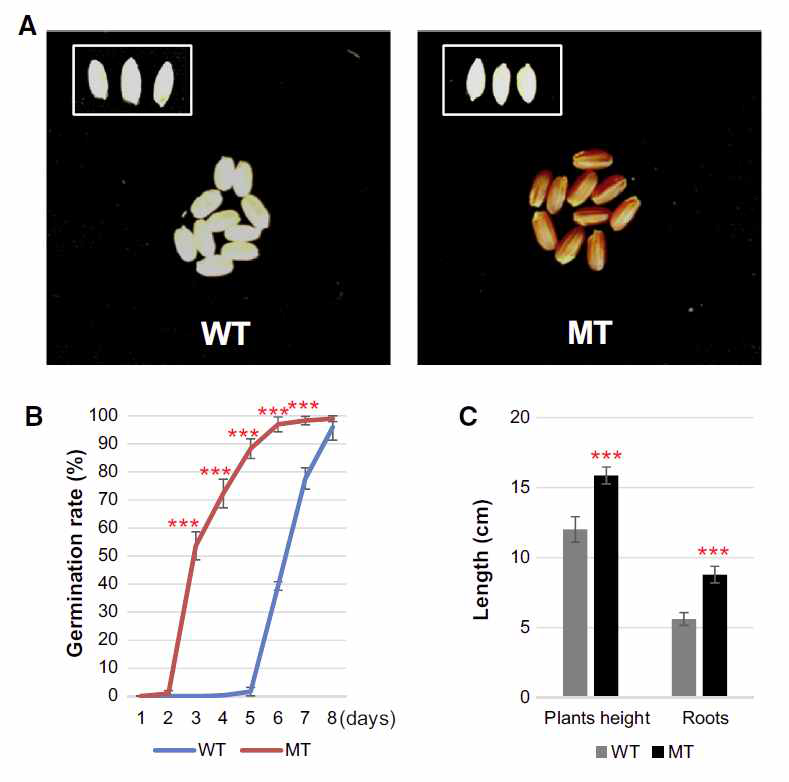 Comparison of WT and mutant phenotypes.