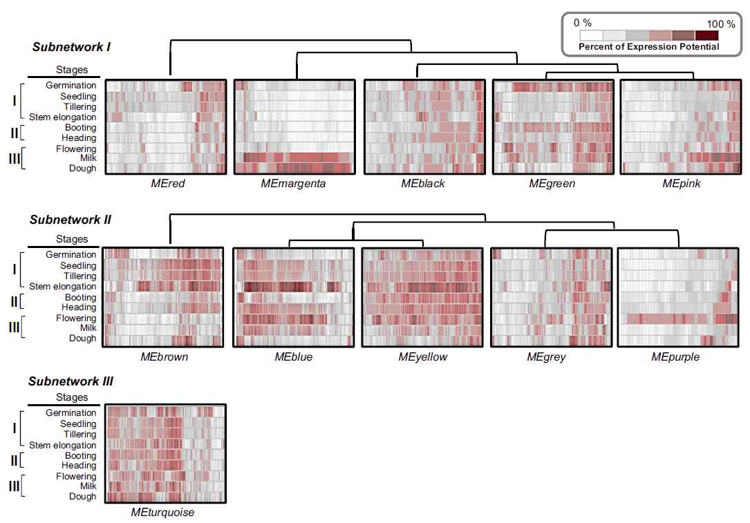 Expression patterns of significant DEGs of MT at different developmental stages.