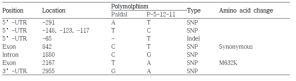 Nucleotide and amino acid sequence change of stachyose synthase gene in selected P-5-12-11.