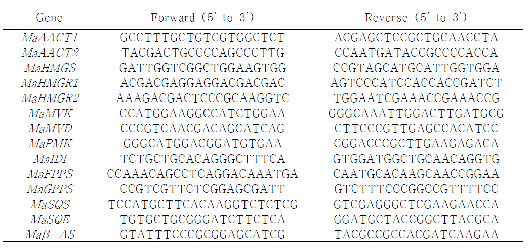 Primers of triterpenoid biosynthetic genes used for real-time PCR