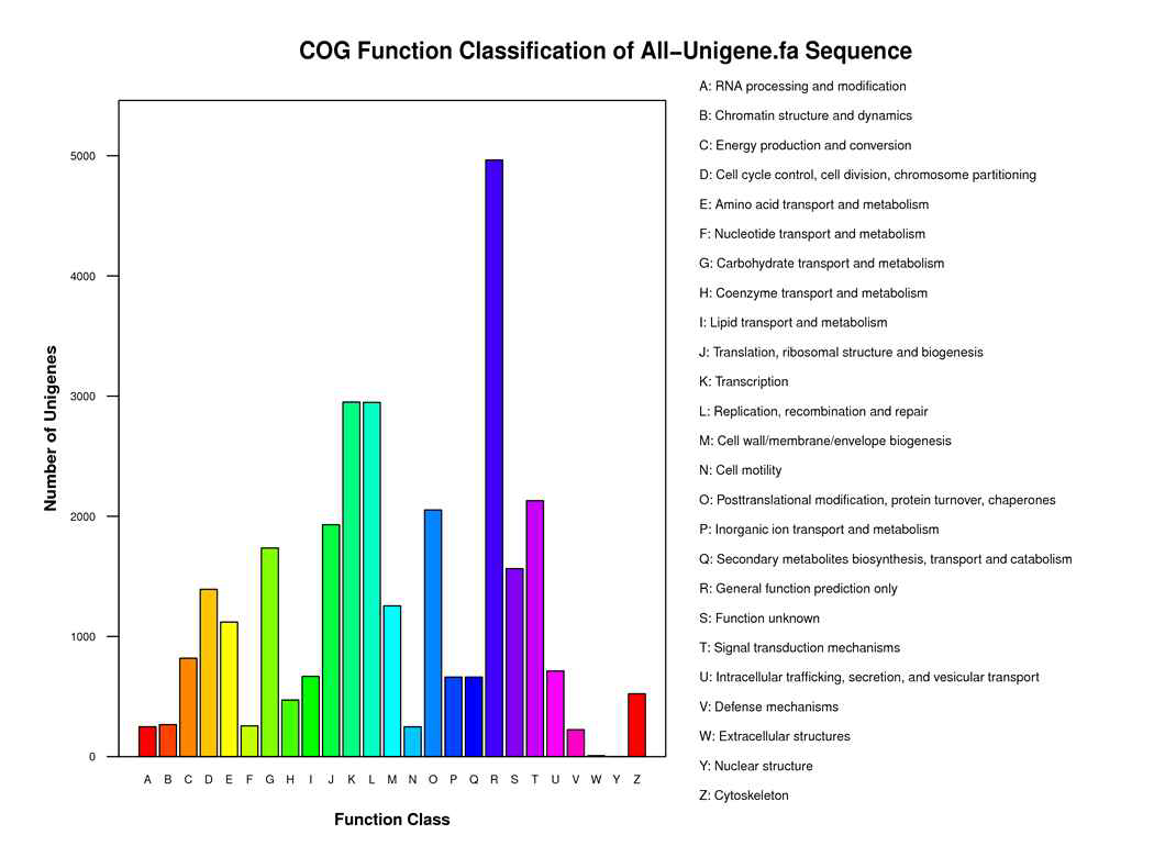 COG function classification of Unigenes.
