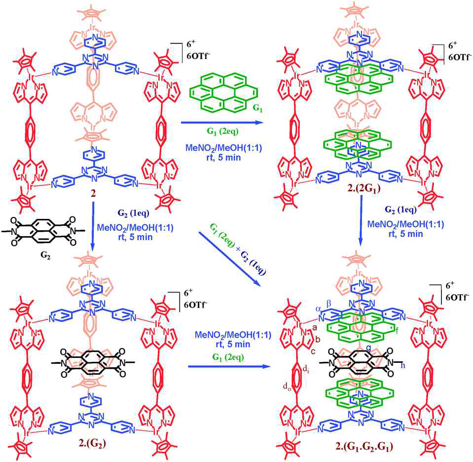 Systematic representation of the encapsulation of guest G1 and G2, one after another and all together into the cavity of prismatic cage.