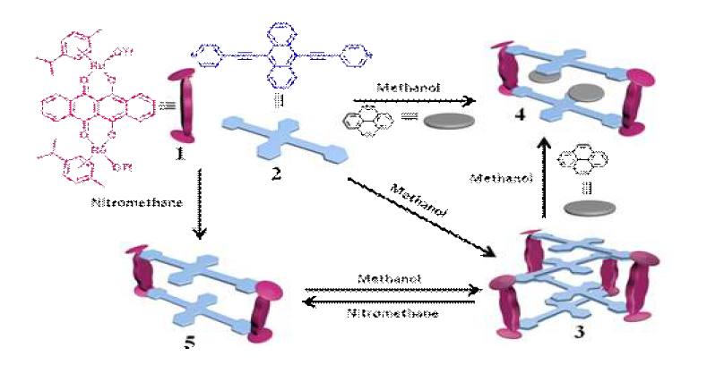 Schematic representations of the formation of metalla[2]catenane 3, pyrene encapsulated rectangle 4 and mono-rectangle 5.