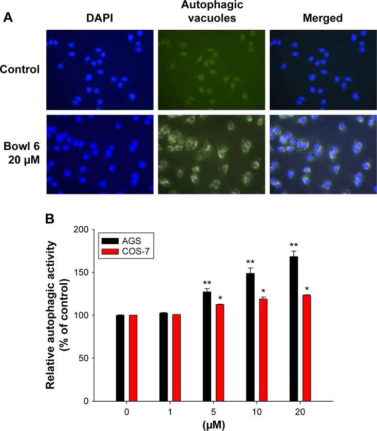 Self-asembly and anti-cancer results of Ru(II) molecular bowls.