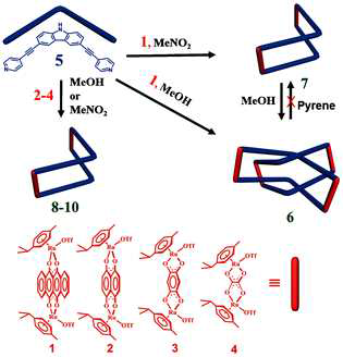 Selective self-assembly of rare molecular Solomon link