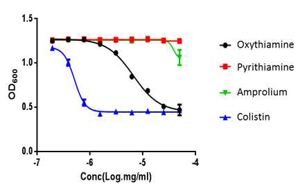 thiamine 유사체들인 oxythiamine, pyrithiamine, amprolium의 녹농균 성장 억제 효능 비교