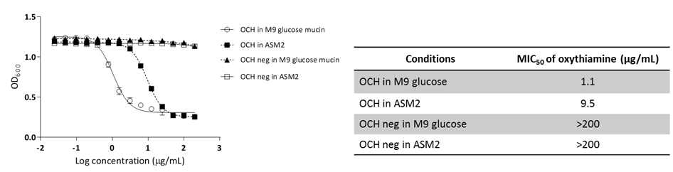 oxythiamine과 non-phosphorylatable oxythiamine의 항녹농균 효능 비교.