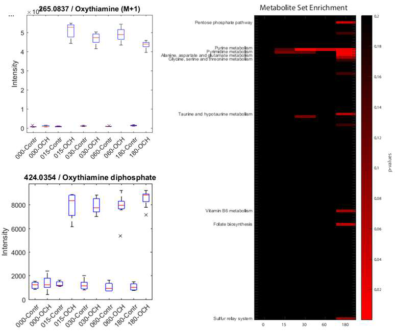 시간별 녹농균 내 oxythiamine 과 oxythiamine diphosphate 검출 및 대사물질 변화에 따른 enrichment analysis. oxythiamine이 포함되어있는 배지에 녹농균을 배양시키면서 시간별로 세균을 체취하여 세균 내 대사물질을 Ultrahigh pressure ion pairing-reverse phase chromatography 와 Thermo TSQ Quantum Ultra triple quadrupole mass spectrometer를 이용하여 검색함.