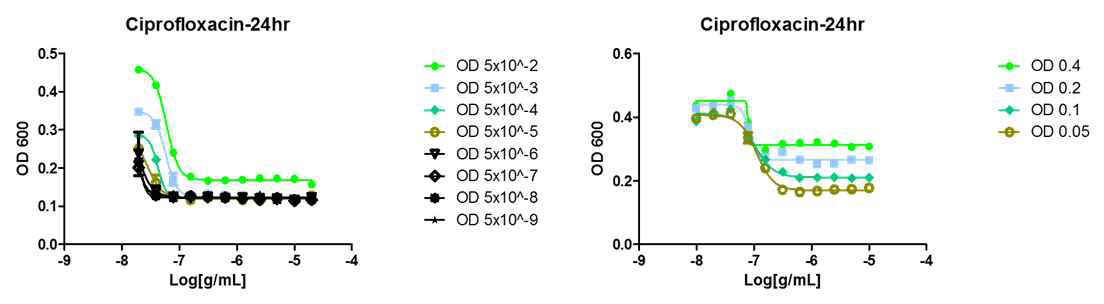 초기 세균 접종양에 따른 ciprofloxacin이 첨가된 배지에서 24시간 배양 후 OD 측정값 비교.