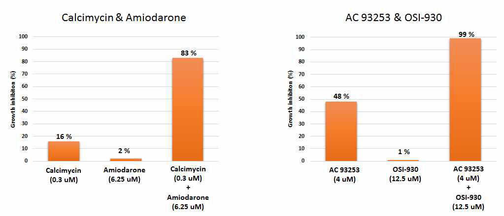 Checkerboard 에세이를 통한 calcimycin 과 amiodarone 및 AC93253 iodide와 OSI-930과의 병용처리 시 나타나는 약효상승 효과 검증