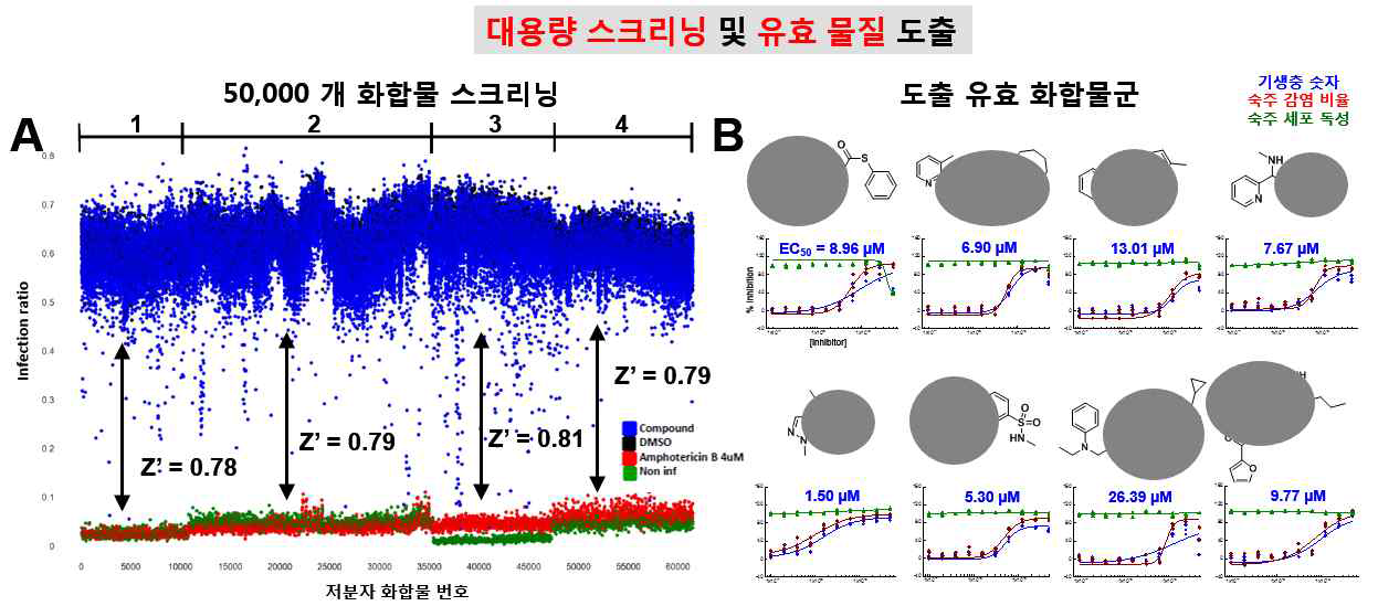 대용량 스크리닝을 통한 유효물질 도출 (A) 50,000개 화합물 라이브러리 스크리닝 (B) 농도반응곡선을 통해 검증된 유효화합물 구조 및 저해도 (EC50).