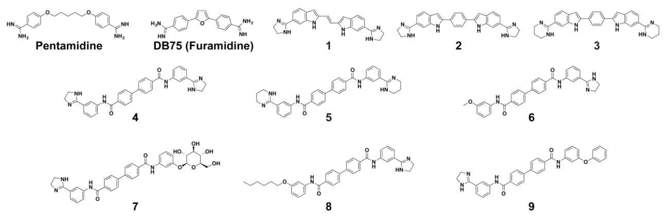 키네토플라스트 복제 관련 이차 에세이에 사용된 항리슈만치료제 및 tool compounds.