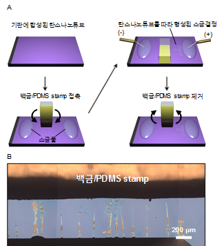 백금/PDMS Stamp를 이용하여 금속 Cover가 제거 가능 한 나토튜브 광학 시각화 기술개발