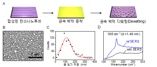 SERS를 이용한 탄소나노튜브 직경 측정.