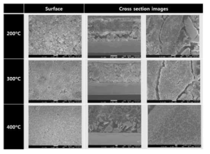 열처리 온도에 따른 실리콘 합금 전극의 몰폴로지 (표면 및 단면)
