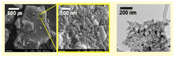 그래핀-산화티타늄의 전자현미경(SEM, TEM) 사진
