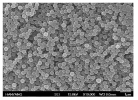비닐 작용기를 갖는 실리카 입자의 전자 현미경 사진