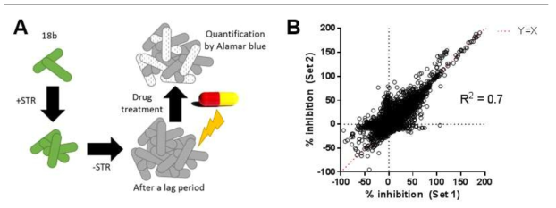 A. Scheme illustrating the principle of the assay using the 18b strain. STR: streptomycin. B. Reproducibility of the screening assay, explored using a library of 8,356 bioactive/FDA approved molecules.