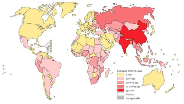 Number of MDR-TB cases estimated to occur among notified pulmonary TB cases in 2015.